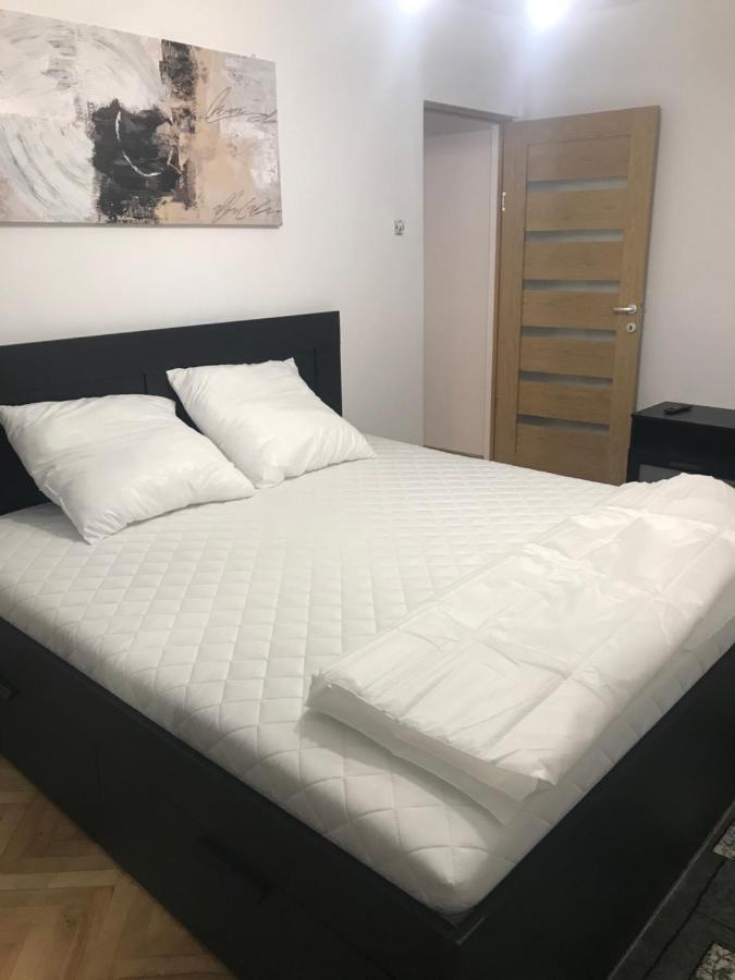 Apartament Colina Kaloşvar Dış mekan fotoğraf