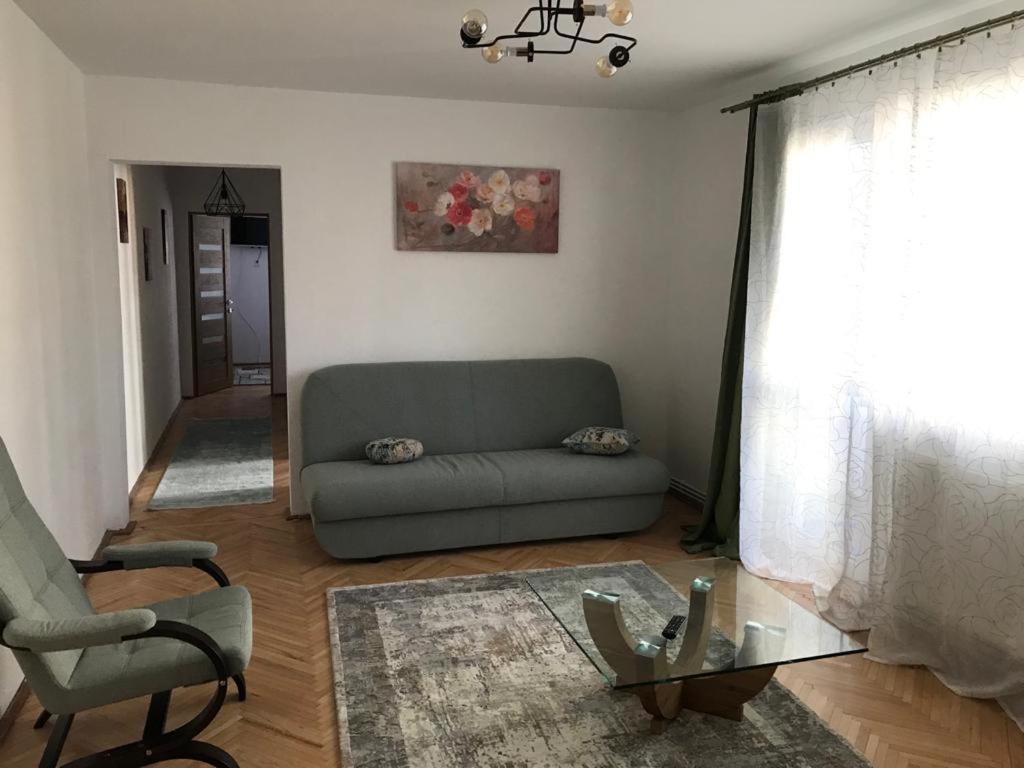 Apartament Colina Kaloşvar Dış mekan fotoğraf