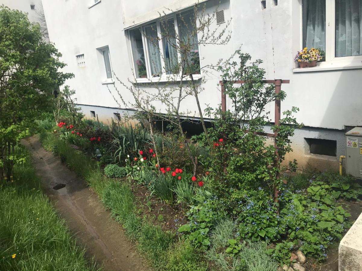 Apartament Colina Kaloşvar Dış mekan fotoğraf